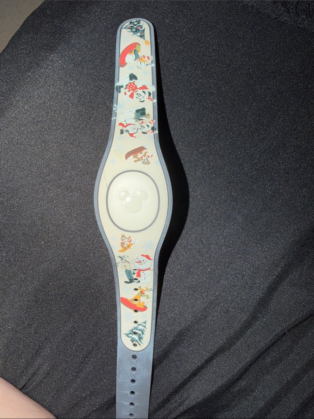 Cute Disney Holiday MagicBand